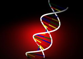 leukemia-dns-lanc-280x200-d00000848db6c3b745c8d