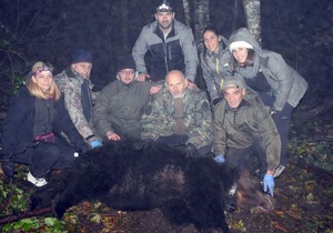 Medved Aleksandar uhvaćen i markiran u petak na Tari
