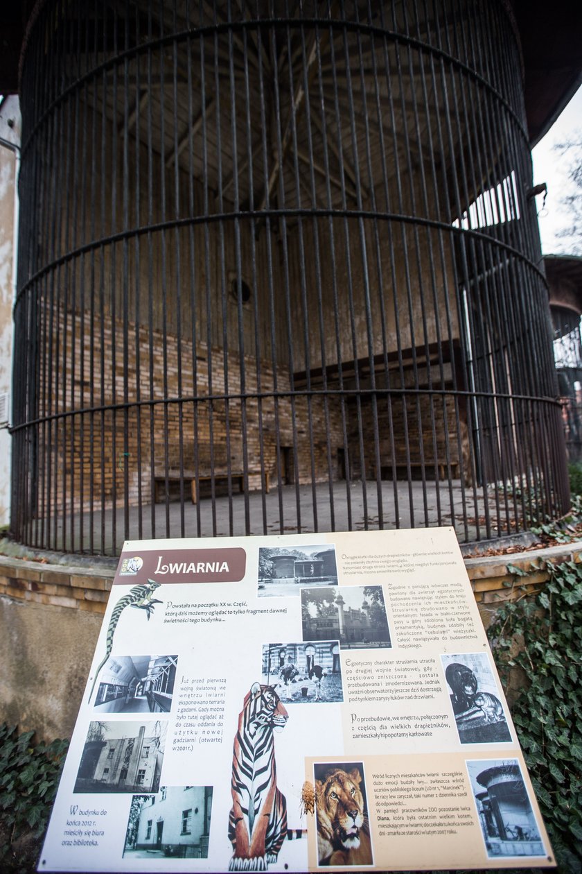 Rewitalizacja Starego Zoo w Poznaniu