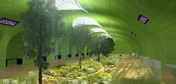 Stację, wzorem londyńskim, można by przekształcić w ogród botaniczny