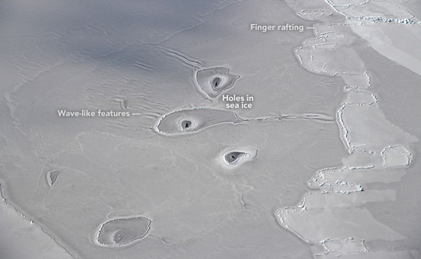 Tajemnicze dziury w lodzie na zdjęciu NASA. "Nigdy wcześniej czegoś takiego nie widziałem"