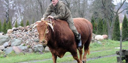 Zakłada mu na łeb światełka odblaskowe. Kierowcy się zatrzymują i robią zdjęcia. Słuchają też o erotycznych podbojach [WIDEO]