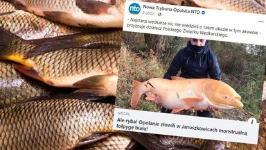 Złowili "rybę-monstrum". Walka z gigantyczną tołpygą trwała godzinę