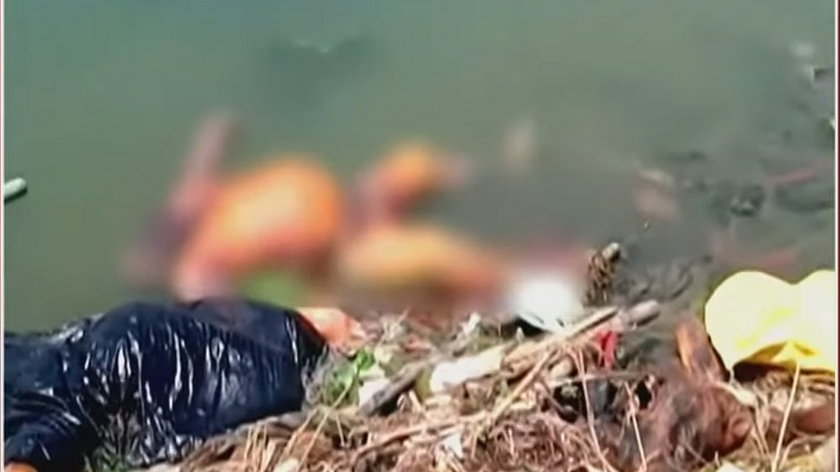 Rozkładające się zwłoki w świętej rzece pożerane przez bezpańskie psy. To ciała ofiar COVID-19? [FILM +18]