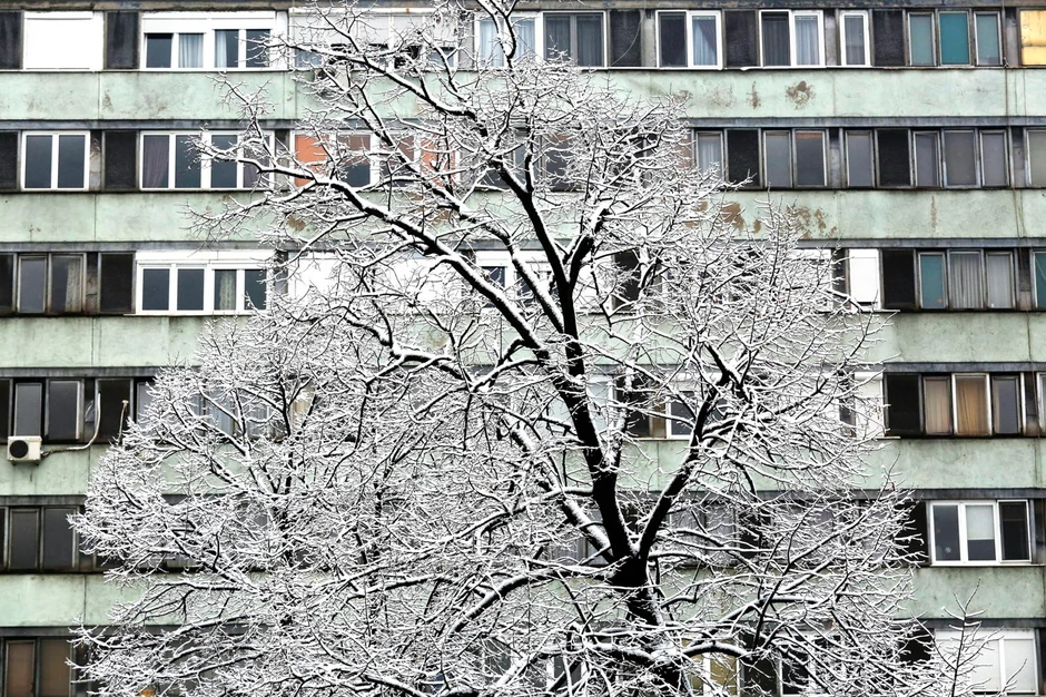 sneg foto Vesna Lalic