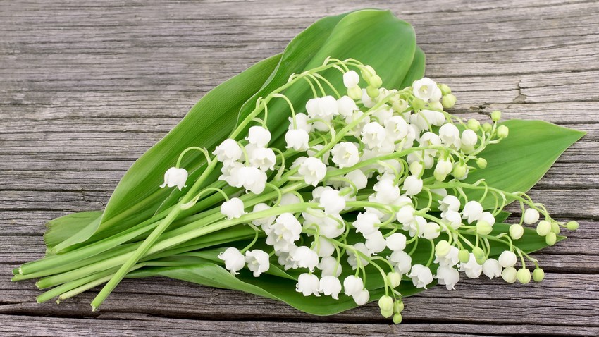 3BMktkqTURBXy9lZmIwMGM1Yzk1OGY2OGIzMzA4Y