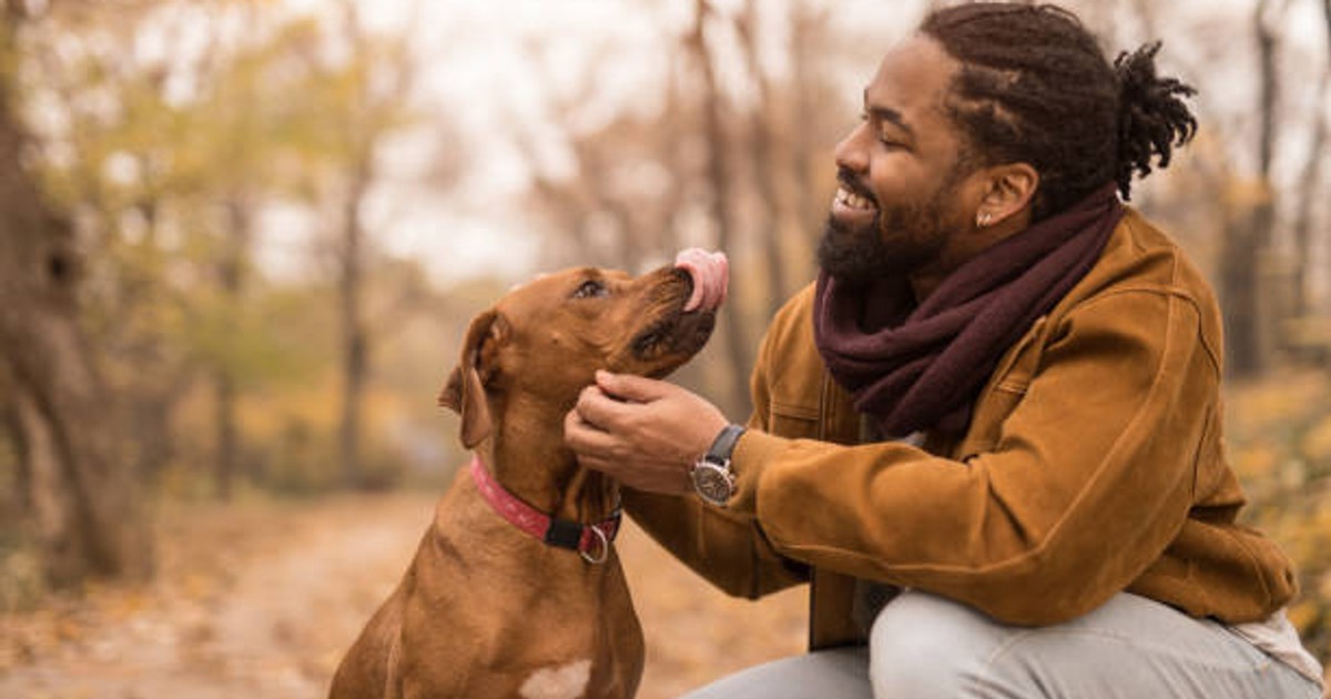 5 reasons keeping dogs as pets is forbidden in Islam