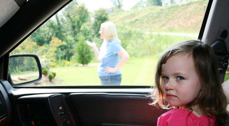 Komoly veszélyei lehetnek annak, ha gyermekeket vagy állatokat a forró járműben hagyunk