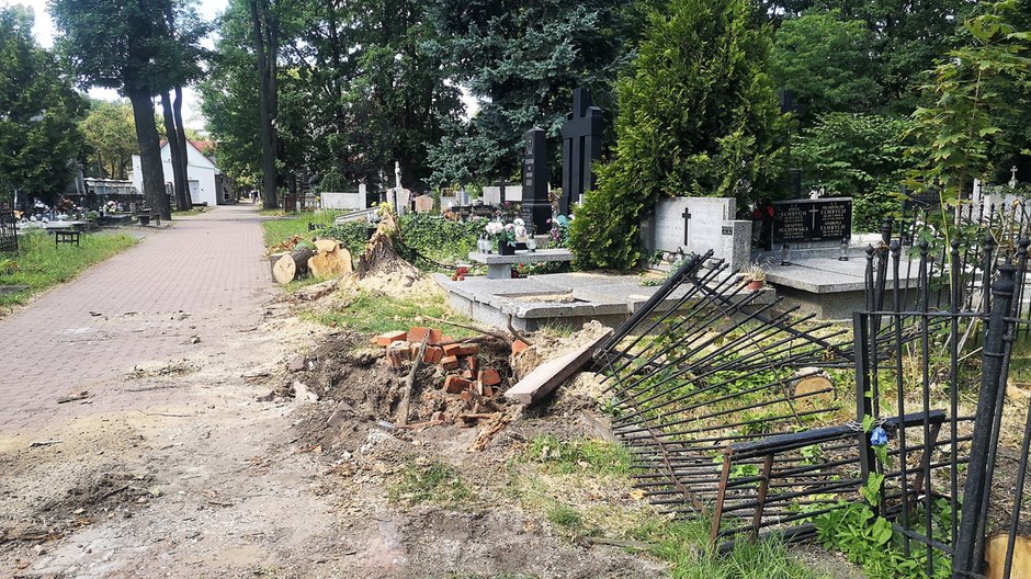 Wielkie sprzątanie na Starym Cmentarzu w Łodzi