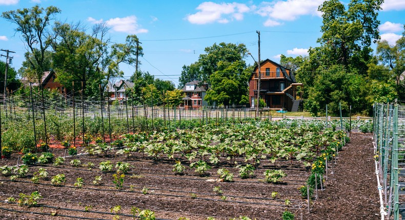 An urban farm in Detroit, Michigan.espiegle/Getty Images.