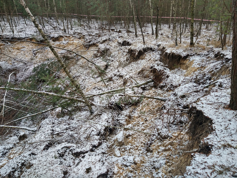Wielkie zapadlisko zostało odkryte w lesie w Bolesławiu w województwie małopolskim.