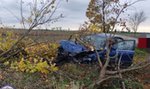 Pijany kierowca przyłapany przez policję, zasłaniał się... rosołem!