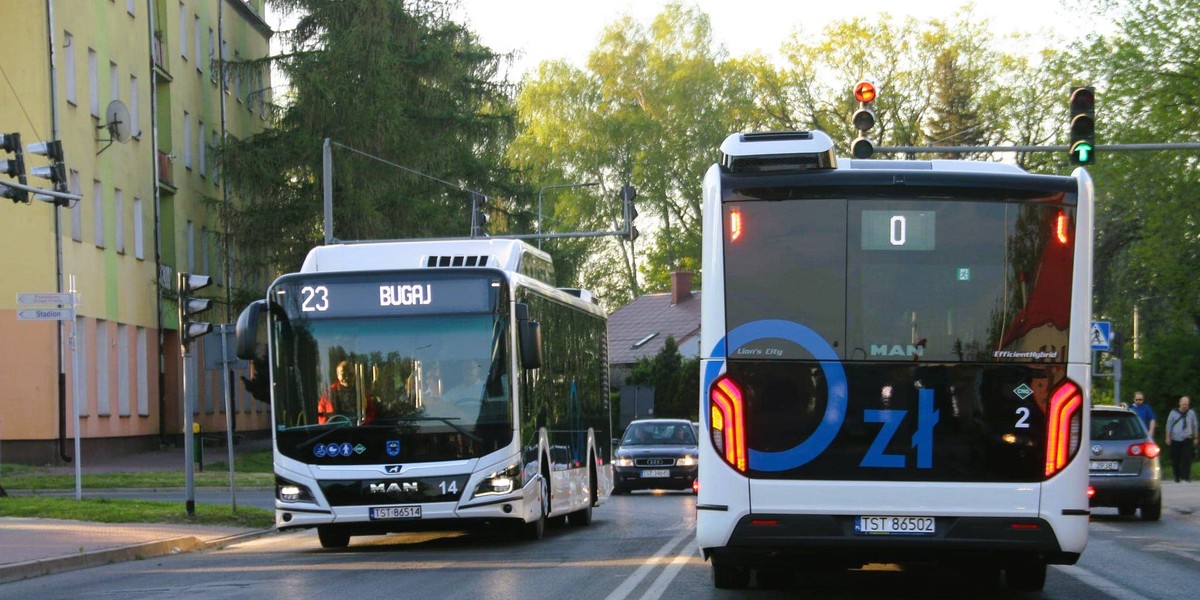 W Starachowicach nie trzeba płacić za bilet w autobusie – choć jest jeden warunek.