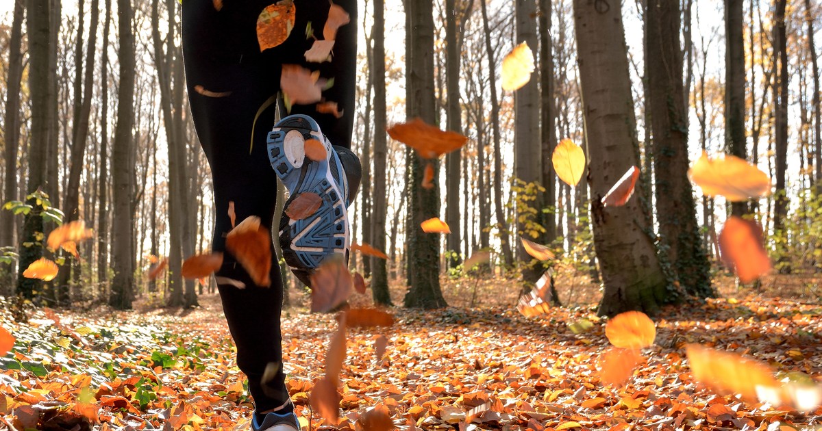 Jak często trzeba ćwiczyć? Wystarczy mniej, niż sądzisz, ale jest jeden warunek