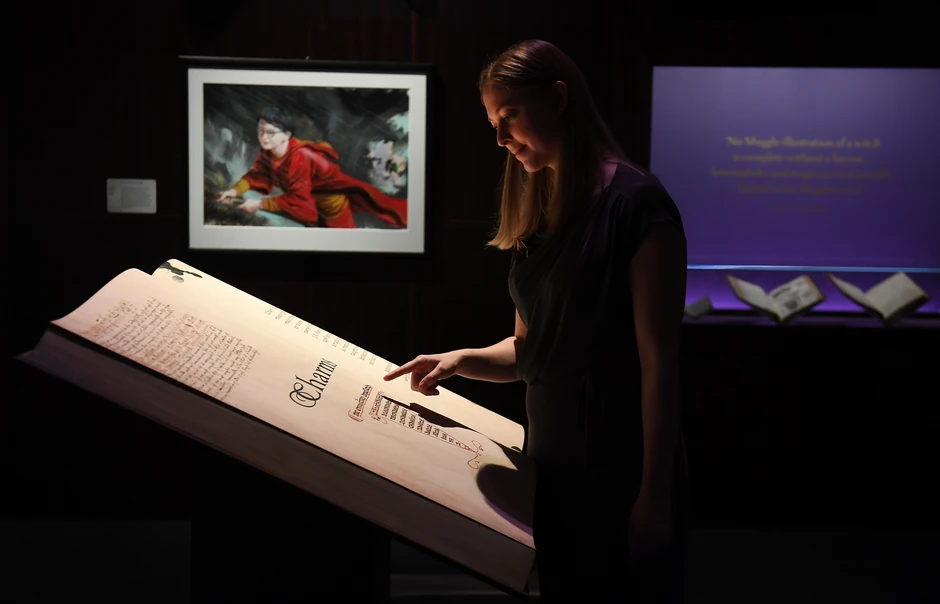 Deo postavke "Hari Poter - Istorija magije"