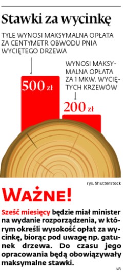 Stawki za wycinkę