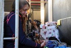 Holandia: Polska i Węgry nie prosiły o redystrybucję uchodźców. Sami jej nie zaoferujemy