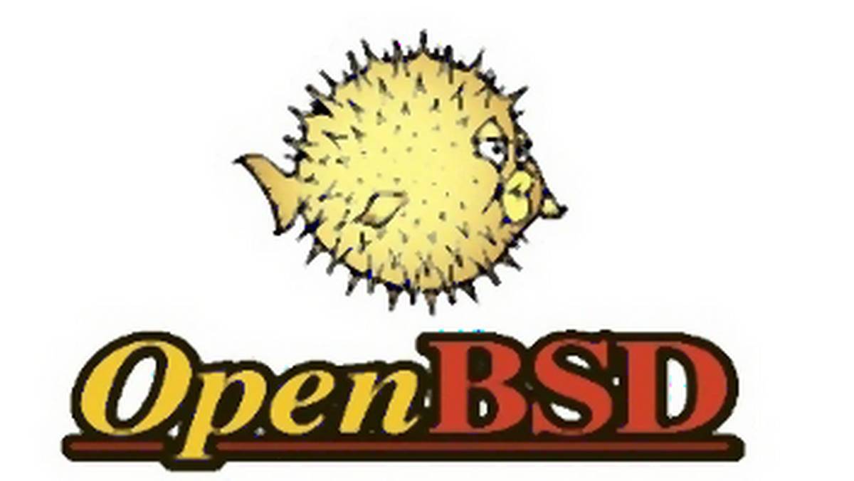OpenBSD jednak bez furtek?