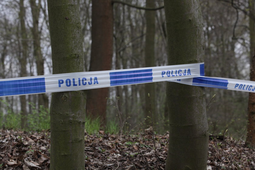 Ciało 5-letniej dziewczynki znaleziono w parku w Gdańsku Brzeźnie przy ul. Krasickiego