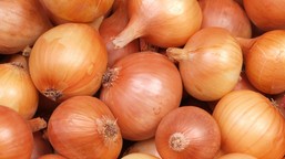 koniecznie posadź obok cebuli. te warzywa sprawią, że urośnie zdrowa i dorodna co sadzić obok cebuli