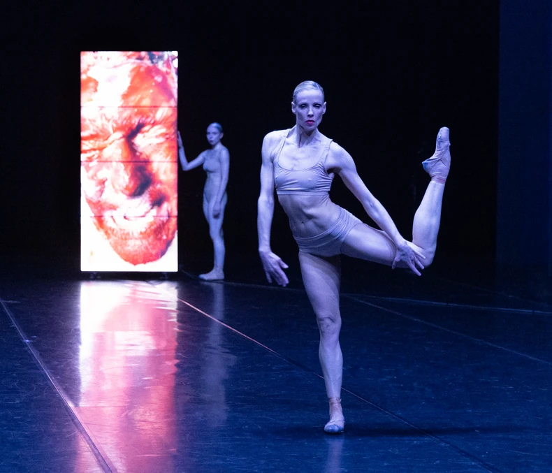 Drezden Frankfurt kompanija igre