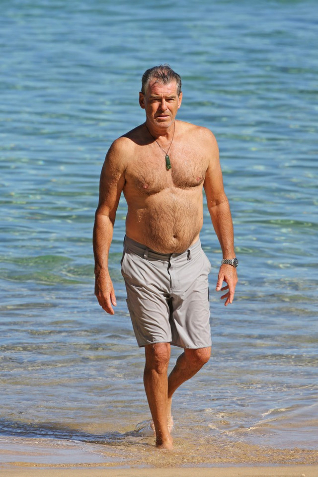 Pierce Brosnan