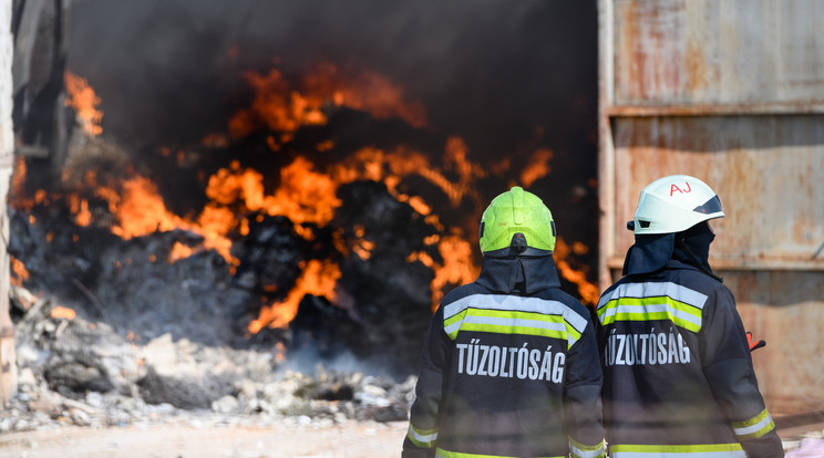 Új kollégát mutattak be a tűzoltók /MTI/Vasvári Tamás
