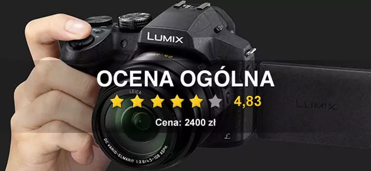 Zoom jak się patrzy: Panasonic Lumix FZ300. Test