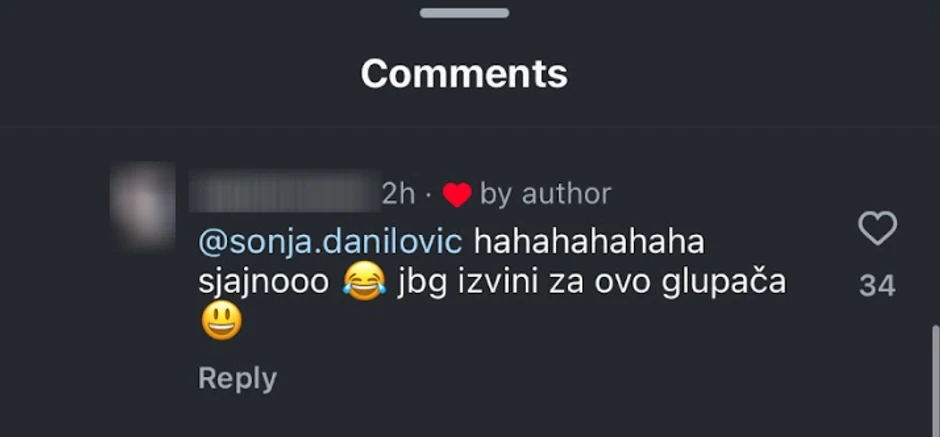 Sonja Danilović, komentar