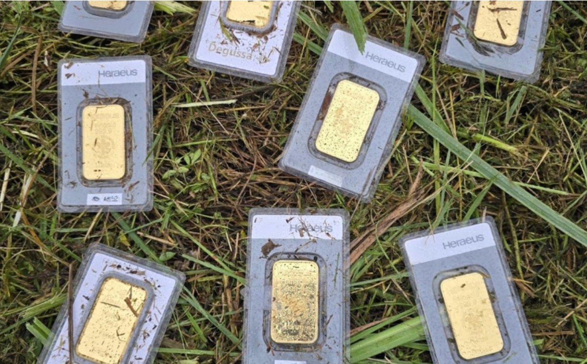 Niezwykłe znalezisko podczas koszenia zarośniętego trawnika. 