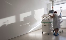 Najsłabsi, ale najdzielniejsi z dzielnych. Poznajcie małych wojowników