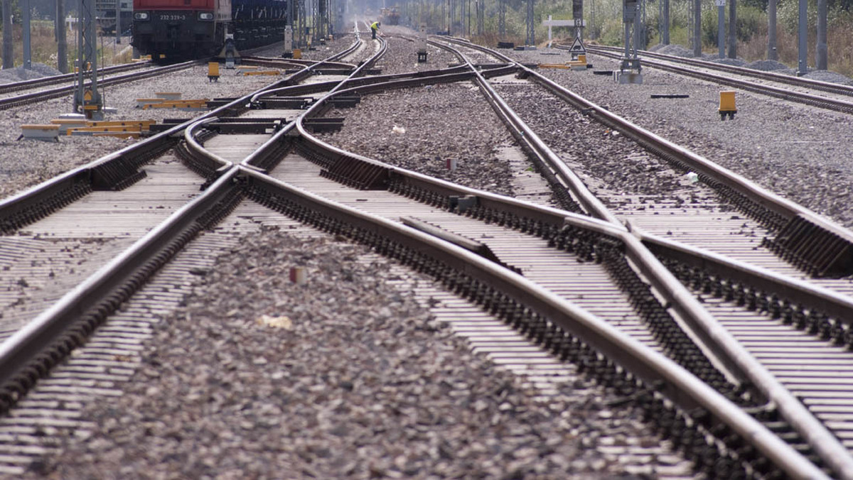 W sobotę wystąpiły utrudnienia w kursowaniu pociągów, po tym jak nieznani sprawcy skradli ponad sto metrów sieci trakcyjnej na trasie Katowice Ligota-Orzesze. O sprawie poinformował dyżurny z Centrum Zarządzania Kryzysowego Wojewody Śląskiego.