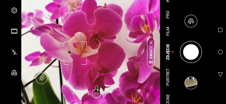 Tryb automatyczny w smartfonie Huawei P30 Pro - rozpoznaje fotografowany obiekt (tu kwiaty) oraz pozwala na niezależne zablokowanie parametrów ekspozycji (okrąg ze słoneczkiem) i punktu ostrości w zupełnie innym obszarze kadru (kwadratowa ramka)
