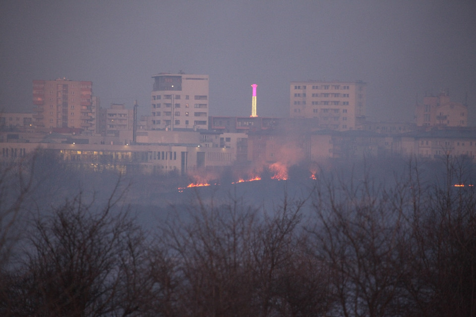 Pożar traw na krakowskim Ruczaju, Fot. Łukasz Boroń/Daj znać!