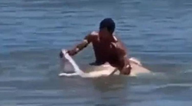 Puszta kézzel esett neki és feszítette szét az állkapcsát egy cápának egy férfi – sokkoló videó