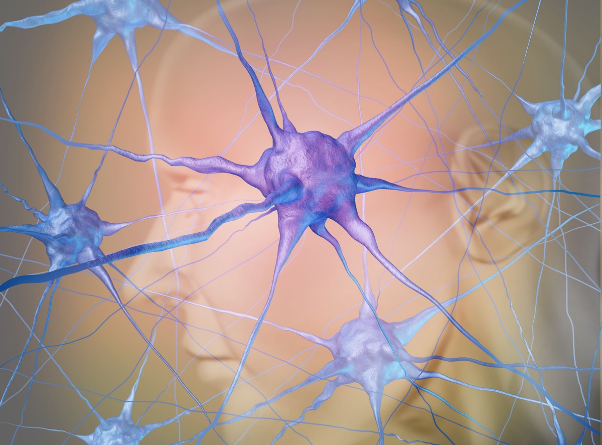 Neurony w mózgu