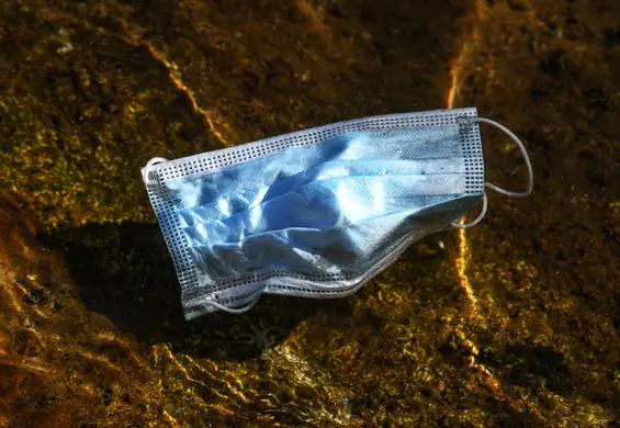 Ponad półtora miliarda jednorazowych masek w oceanach. To tysiące ton plastiku