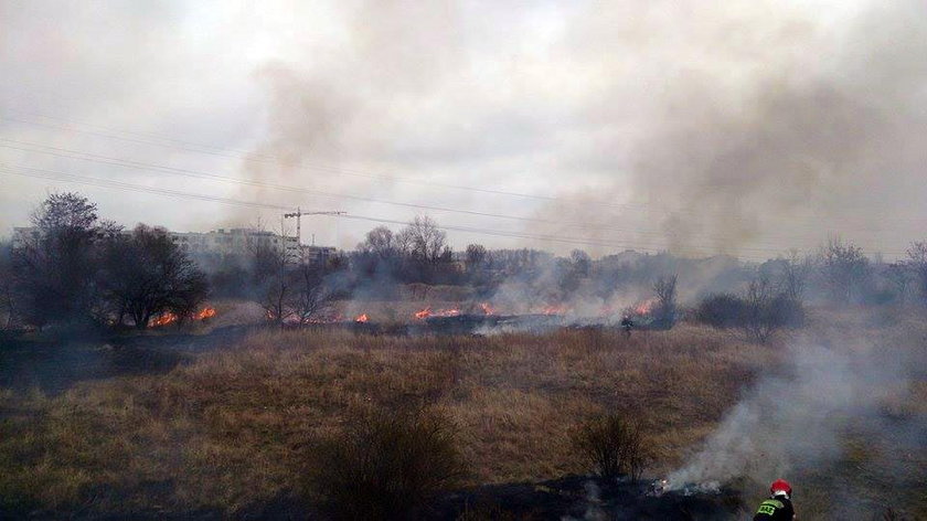 Strażacy ostrzegają przed wypalaniem traw