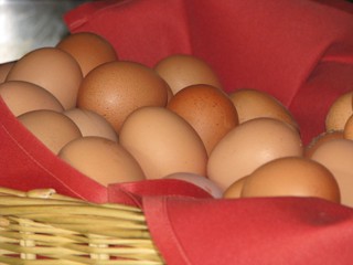 Kolejne kraje mogą powiedzieć 'nie' polskim jajom. To kara za klatki