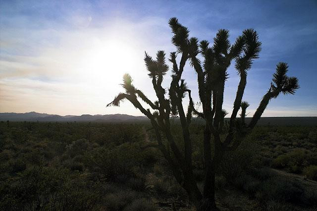 Galeria USA - Kalifornia i Wielki Kanion Kolorado, obrazek 21