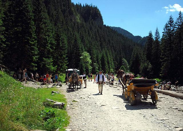 Galeria Polska - Zakopane - letni weekend, obrazek 11