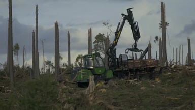 Trudna sytuacja właścicieli lasów po sierpniowych nawałnicach. Powodem brak stanu klęski żywiołowej?