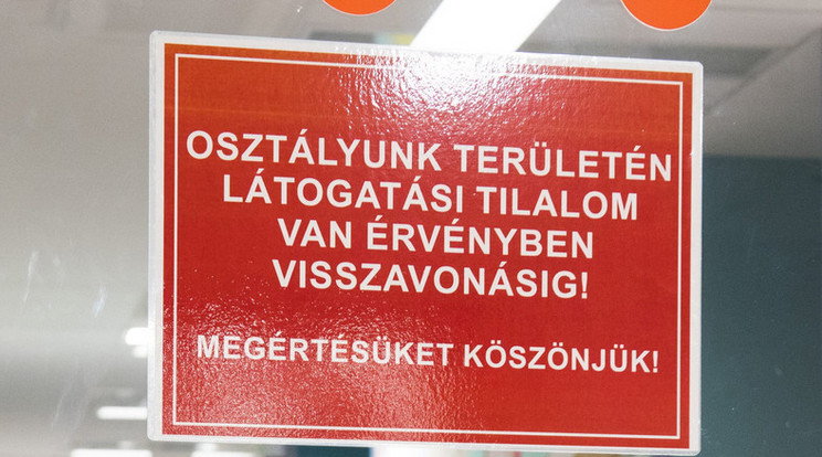 Egyre több kórházban rendelnek el látogatási tilalmat országszerte az influenza-járvány miatt /Képünk illusztráció (MTI - Balázs Attila)