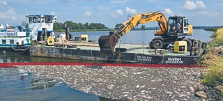 Co zatruło Odrę? Trzy potencjalne przyczyny
