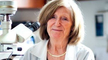 Schaff Zsuzsa