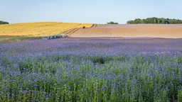 nsa: po stwierdzeniu nieważności części planu miejscowego możliwa decy
