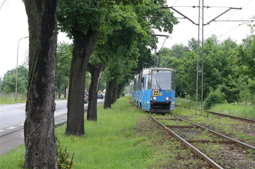 Tramwaje znikną z Kosmonautów