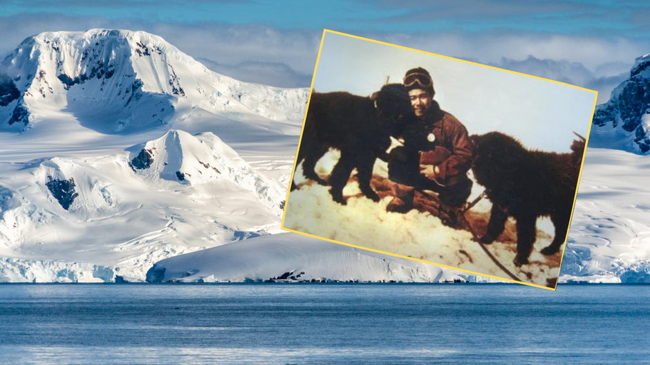 Psim braciom udało się przeżyć rok w trudnych warunkach Antarktydy (screen: kyodo_official/X)