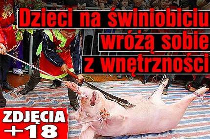 Dzieci na świniobiciu wróżą sobie z wnętrzności. ZDJĘCIA +18