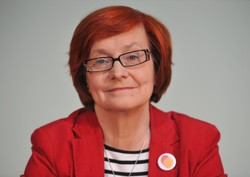 Pełnomocnik miękkich kroków